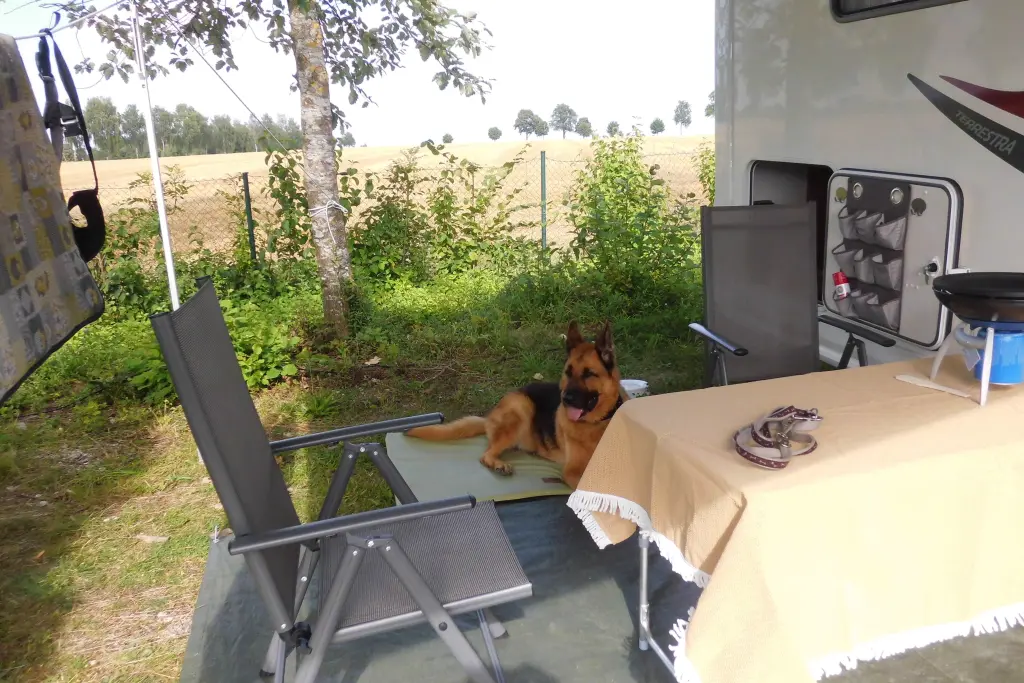 Condolence image of Beate