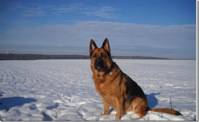 Condolence image of Marianne Krull