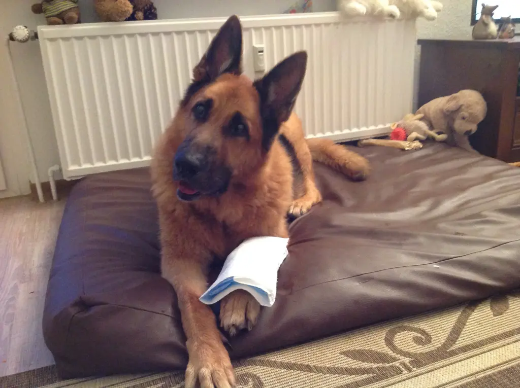 Condolence image of Ate