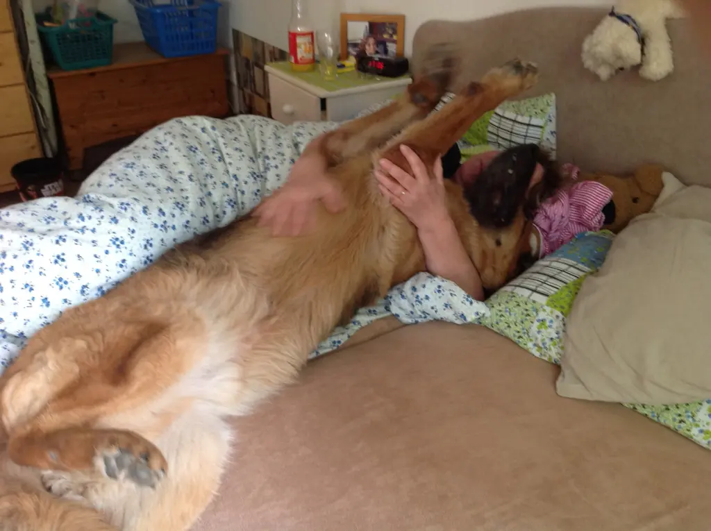 Condolence image of Ate