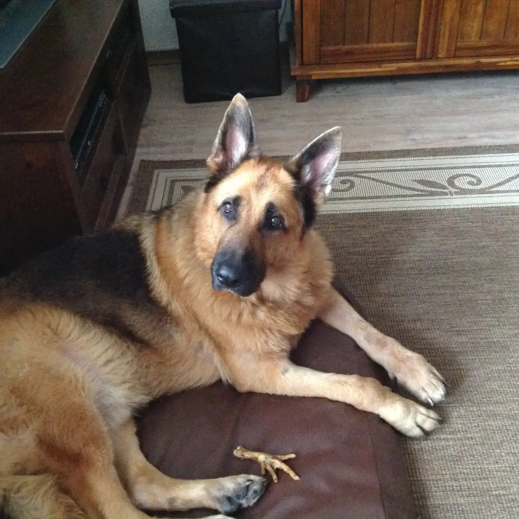 Condolence image of Unbekannt