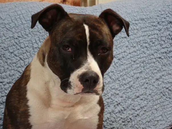 Condolence image of Alexa