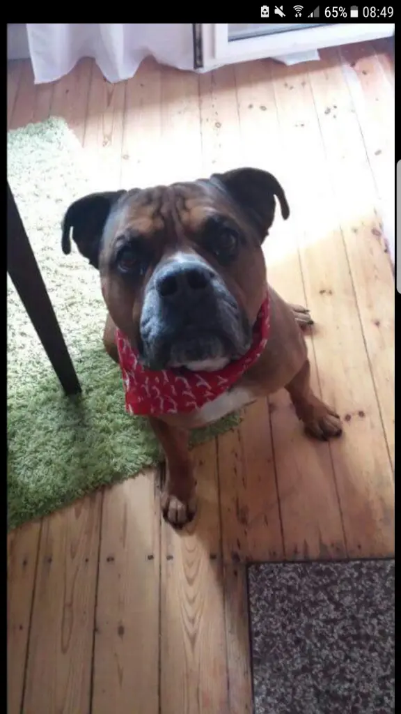 Condolence image of Alex mit Linus im Herzen 