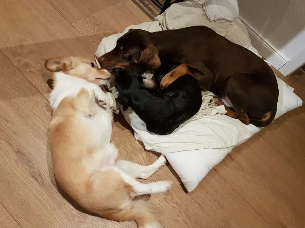 Condolence image of Carsten