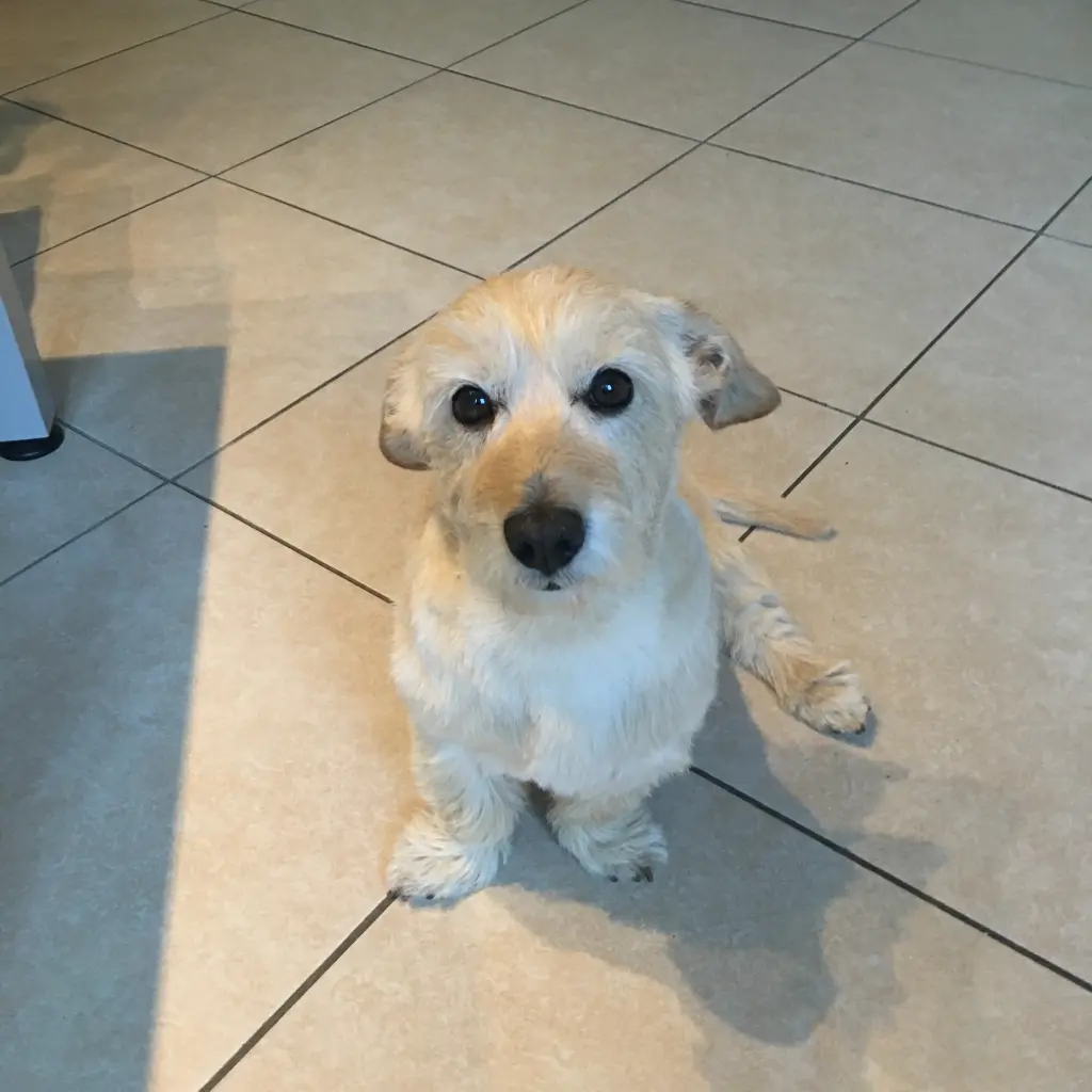 Condolence image of Valerie