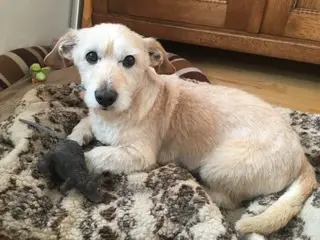 Condolence image of Valerie