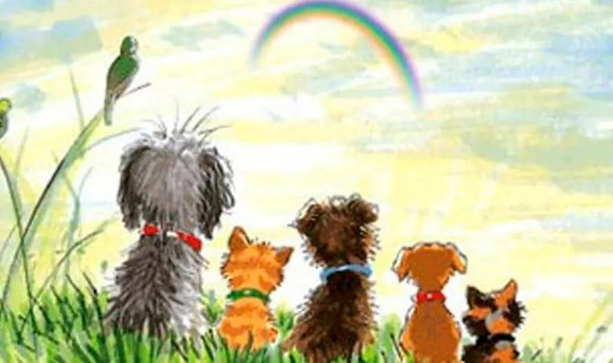 Condolence image of Sven Reich