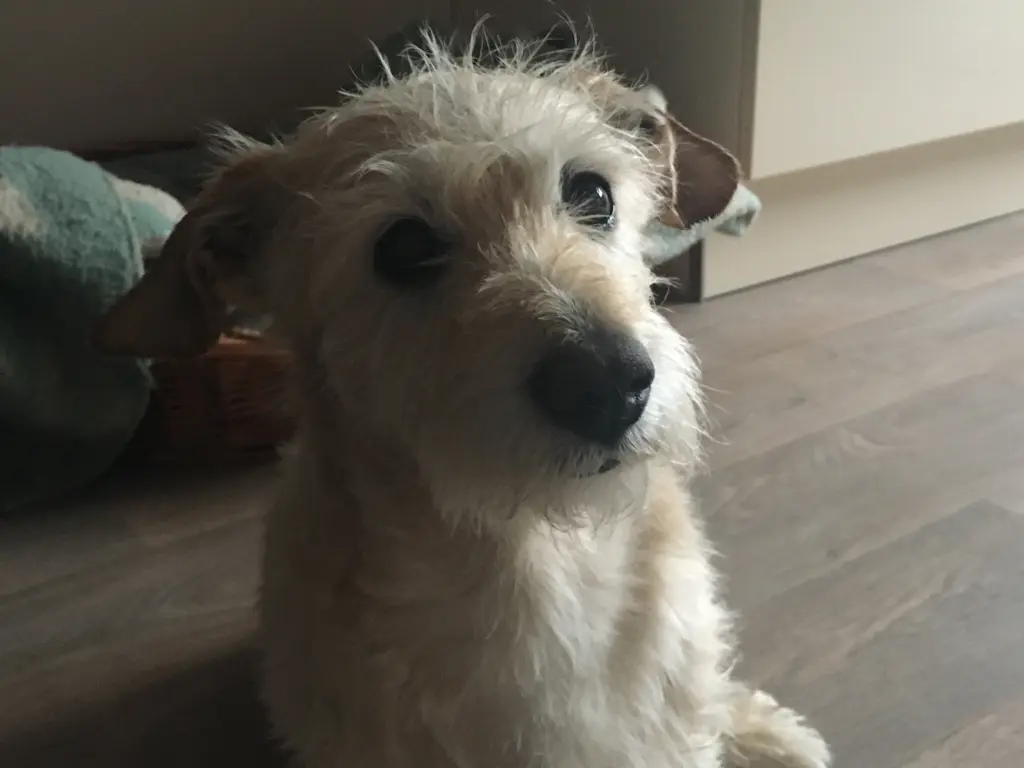 Condolence image of Valerie 