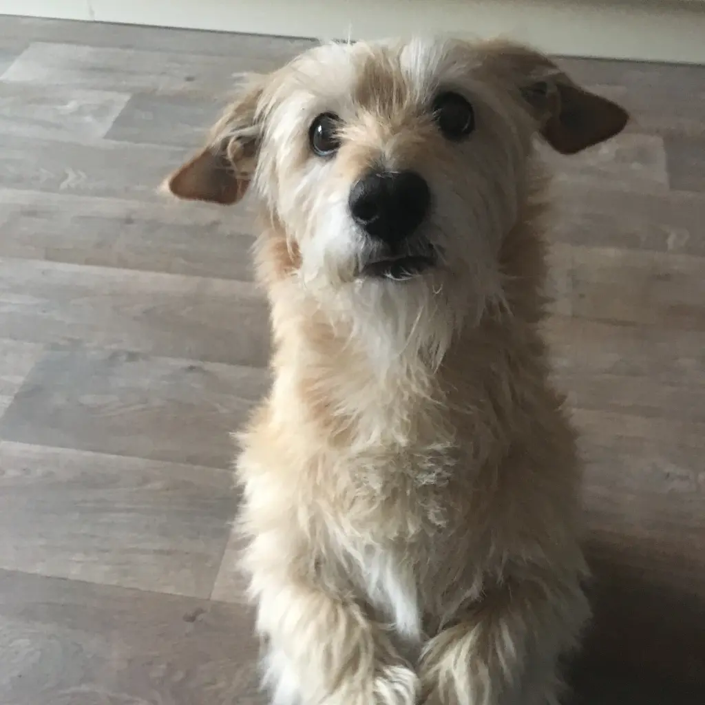 Condolence image of Valerie