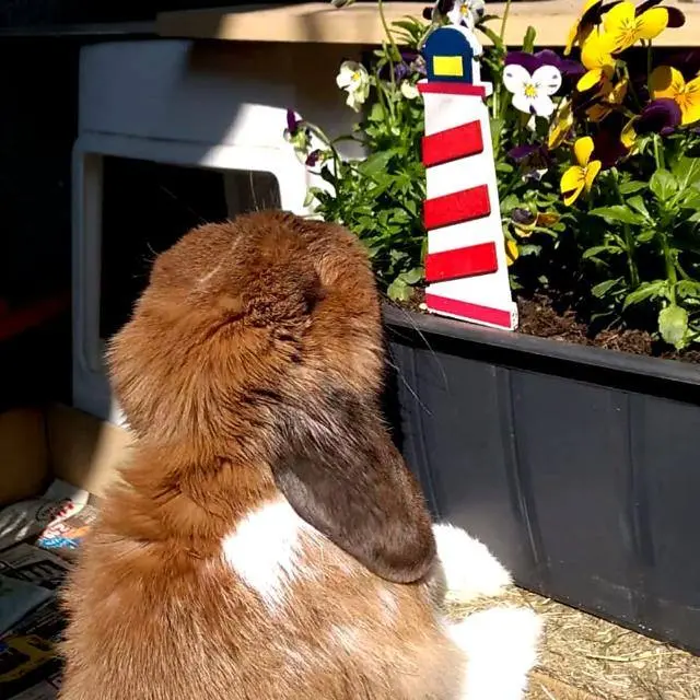 Andachtsbild von Andrea mit Schnuffi tief im ❤