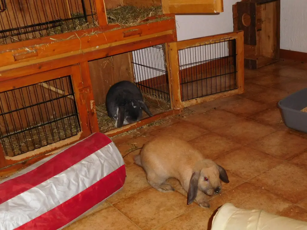 Andachtsbild von Anja