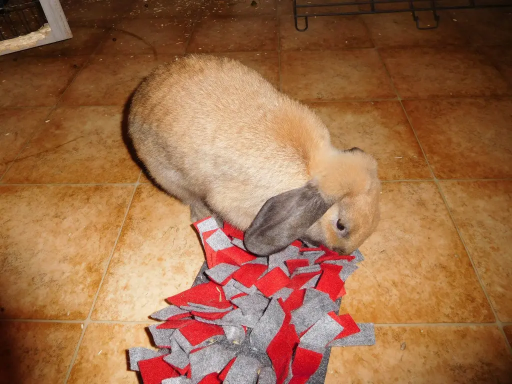 Andachtsbild von Anja