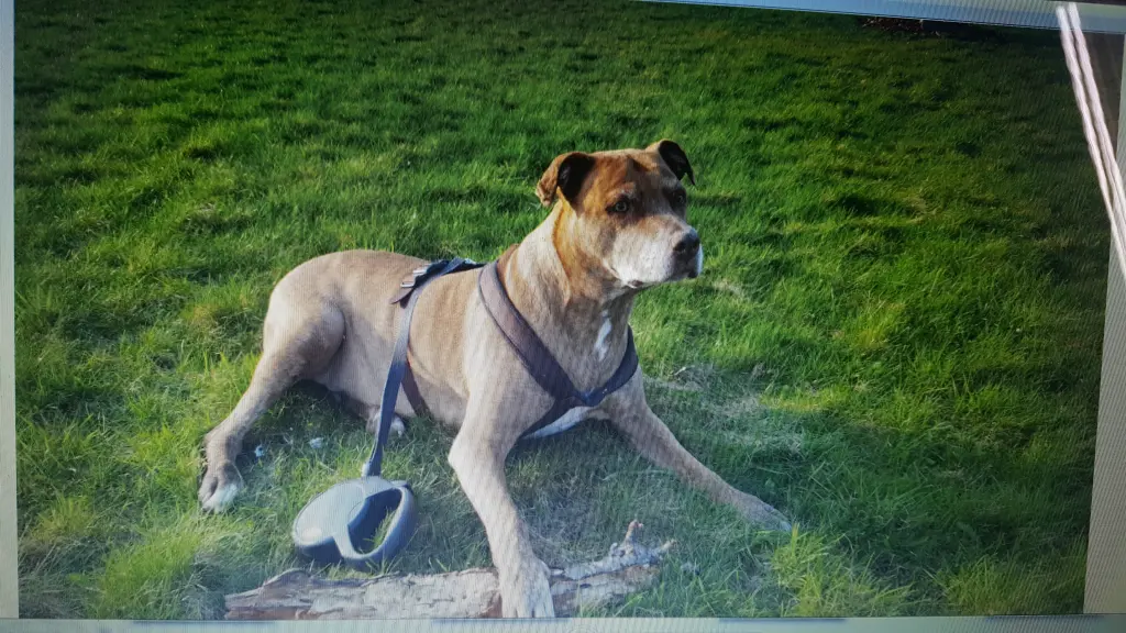 Condolence image of Manu u.Pascal mit Louisa im Herzen gestorben 7.2.18