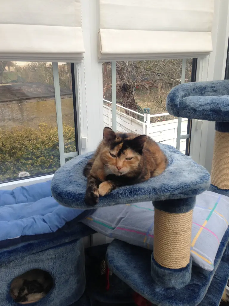 Condolence image of Evelyne Bleser