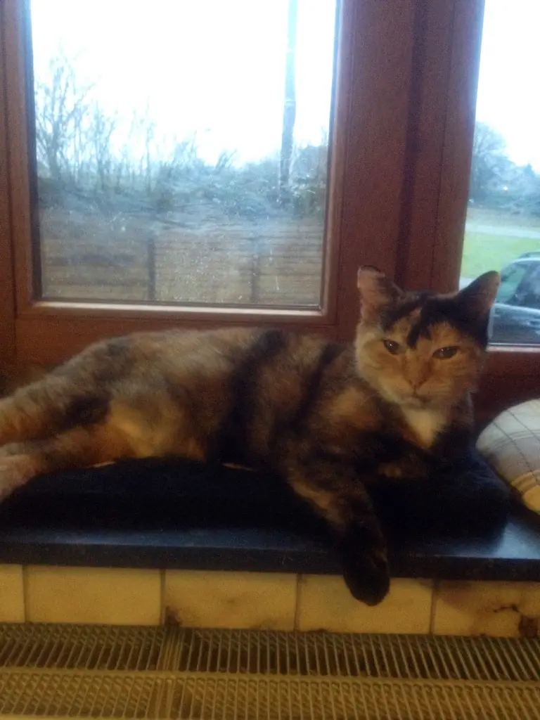 Condolence image of Evelyne Bleser