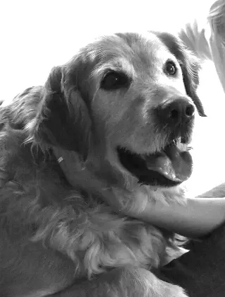 Condolence image of Micha mit Cäsar im Herzen