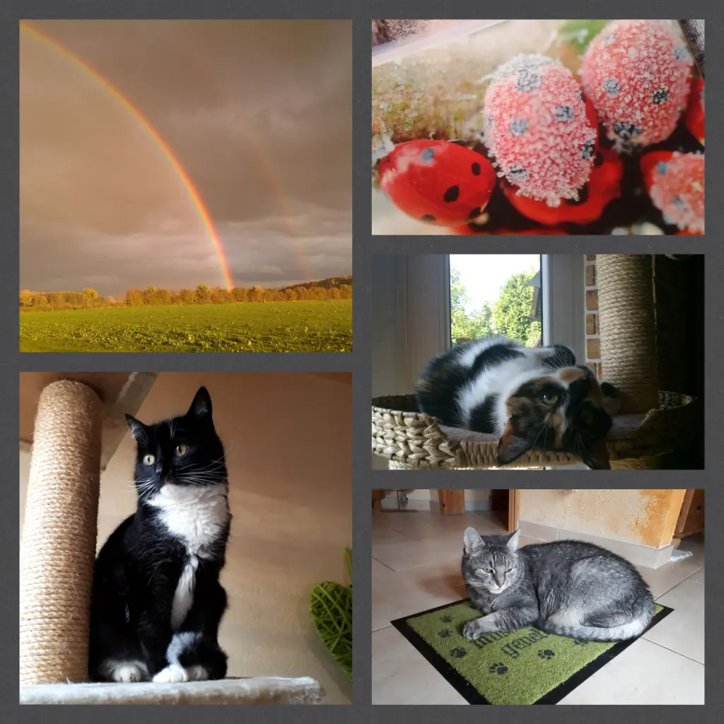 Condolence image of Ines