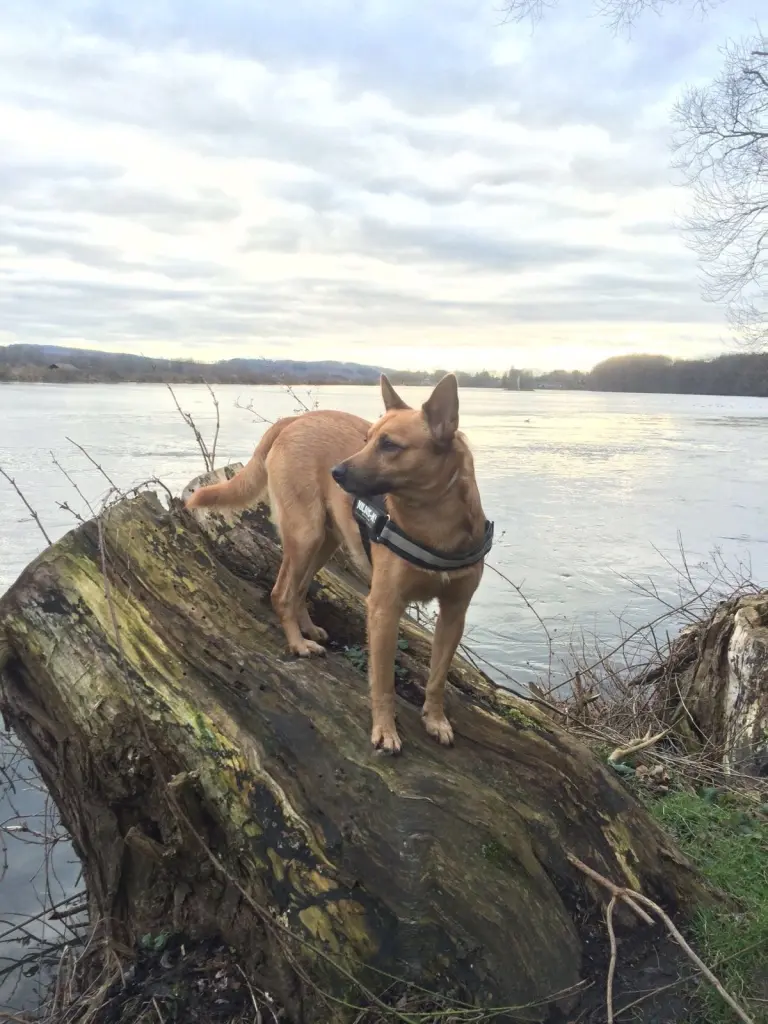 Condolence image of Tina