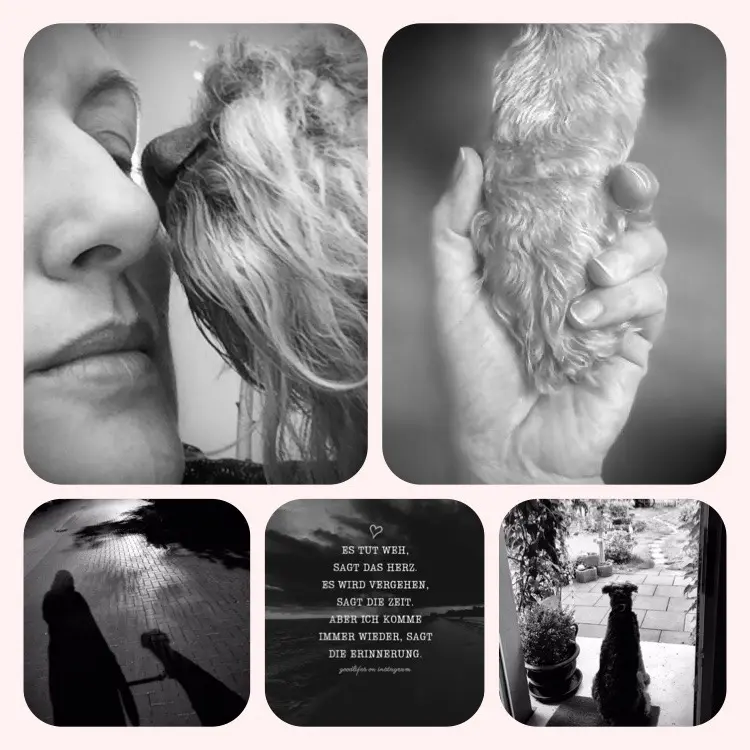 Andachtsbild von Claudia  mit Molly im Herzen 