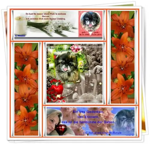 Image from dich, mein allerliebstes Sinchen