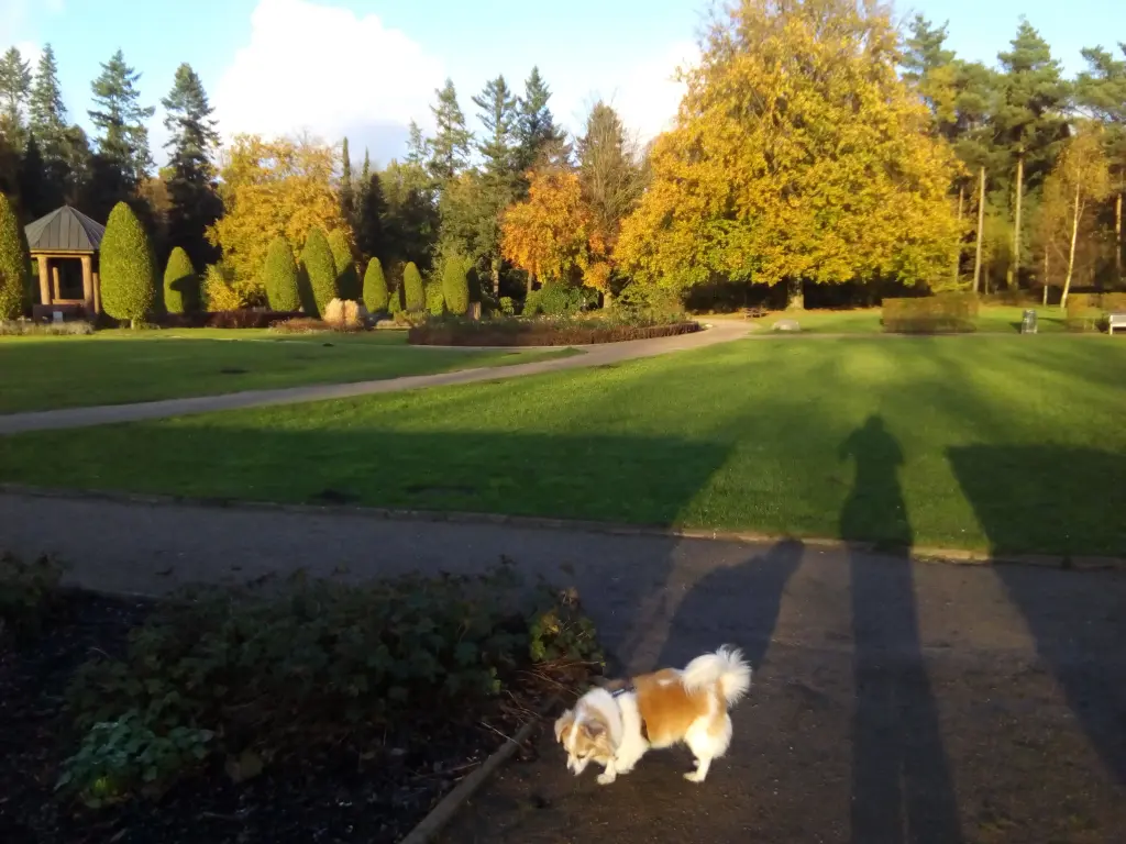 Condolence image of Petra