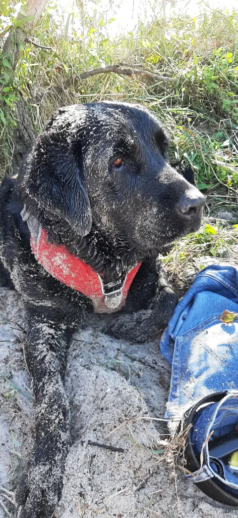 Andachtsbild von Mathias