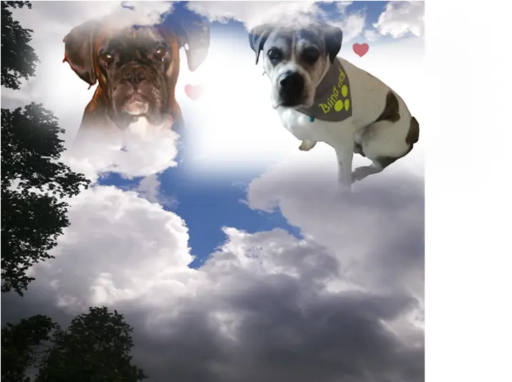 Andachtsbild von Nicole mit Cesar und Cira im Herzen