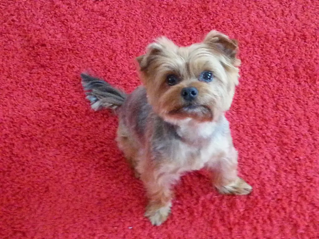 Condolence image of Berry