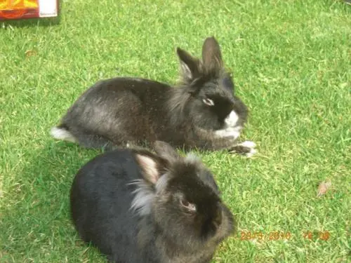 Image from Nicki und Joschka