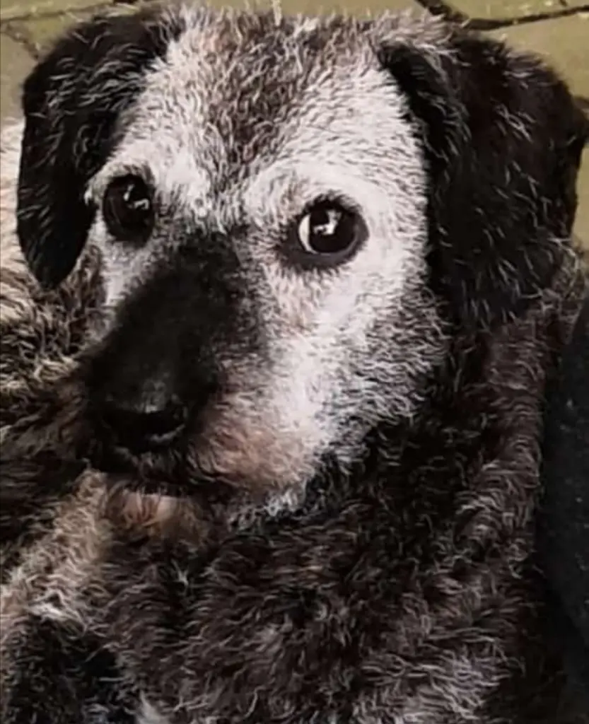 Andachtsbild von Gudrun mit Lilly im Herzen