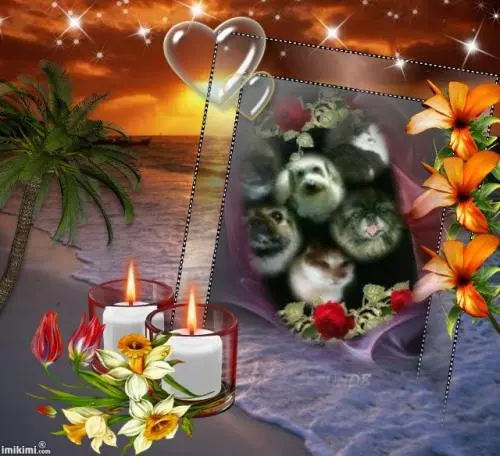 Bild von lara mein engelchen