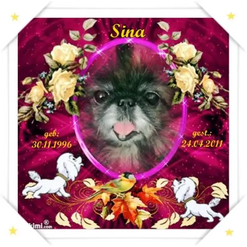 Image from mein Sina-Mädchen