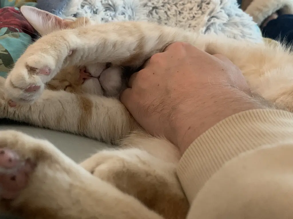 Andachtsbild von Sebastian