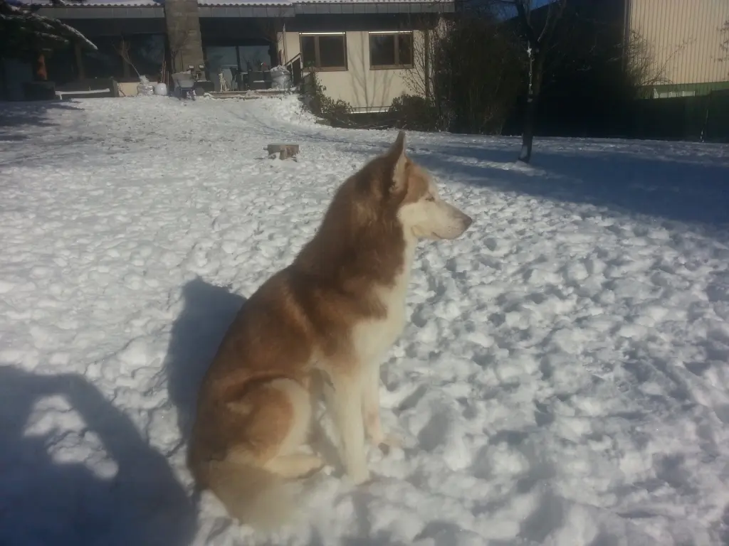 Condolence image of Kersten mit Anuuk