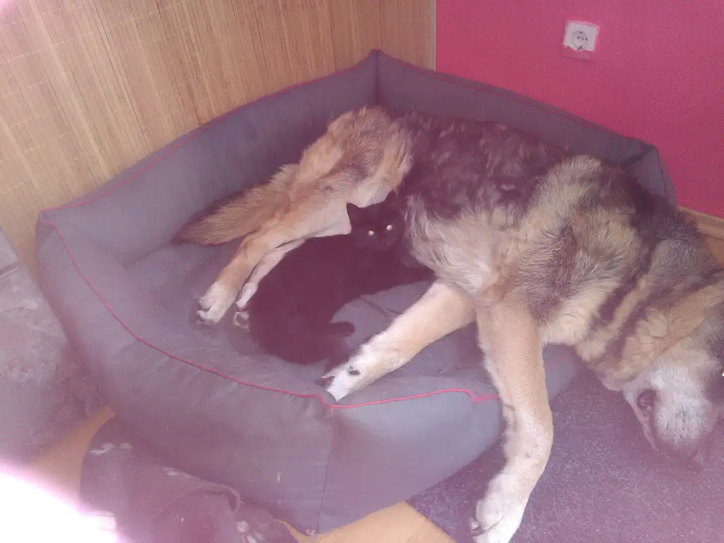 Condolence image of michael