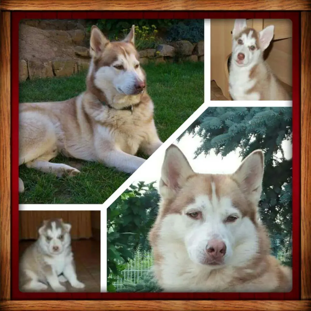 Condolence image of Immer im Herzen 