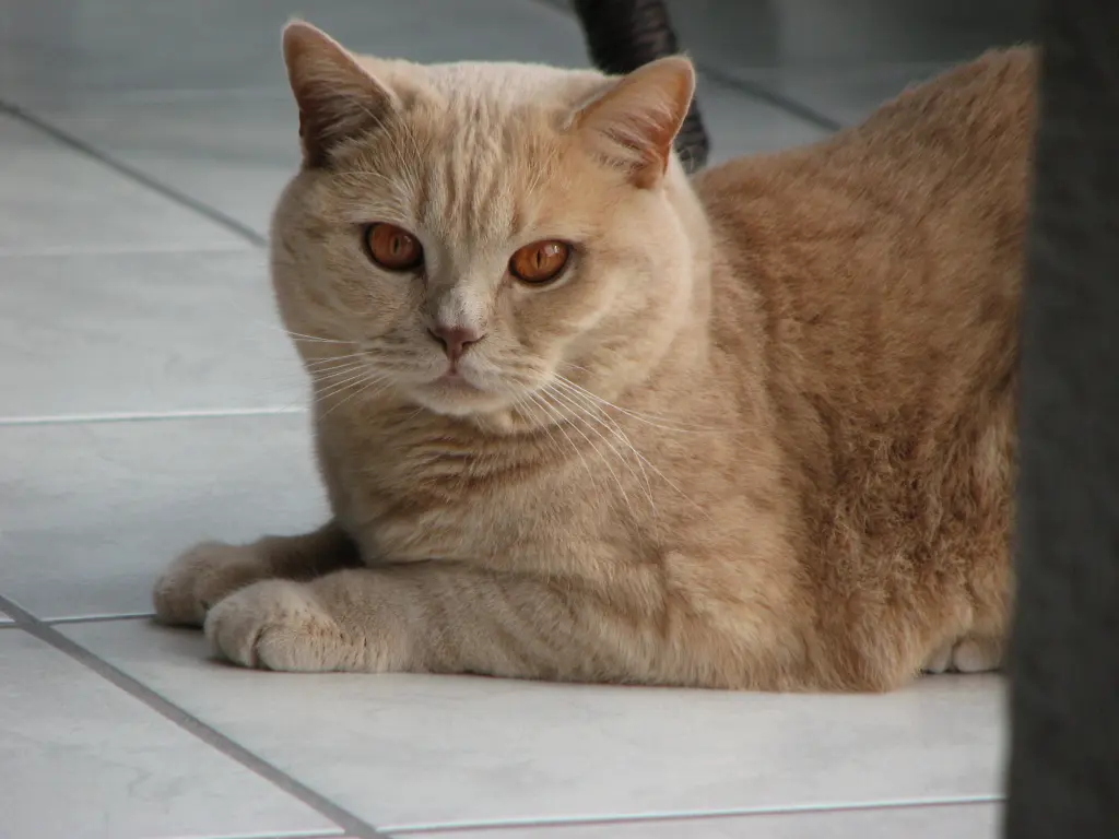 Condolence image of Marion mit Iron im Herzen