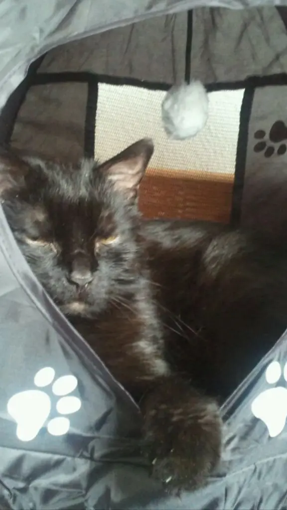 Condolence image of Ulrike und Dietmar