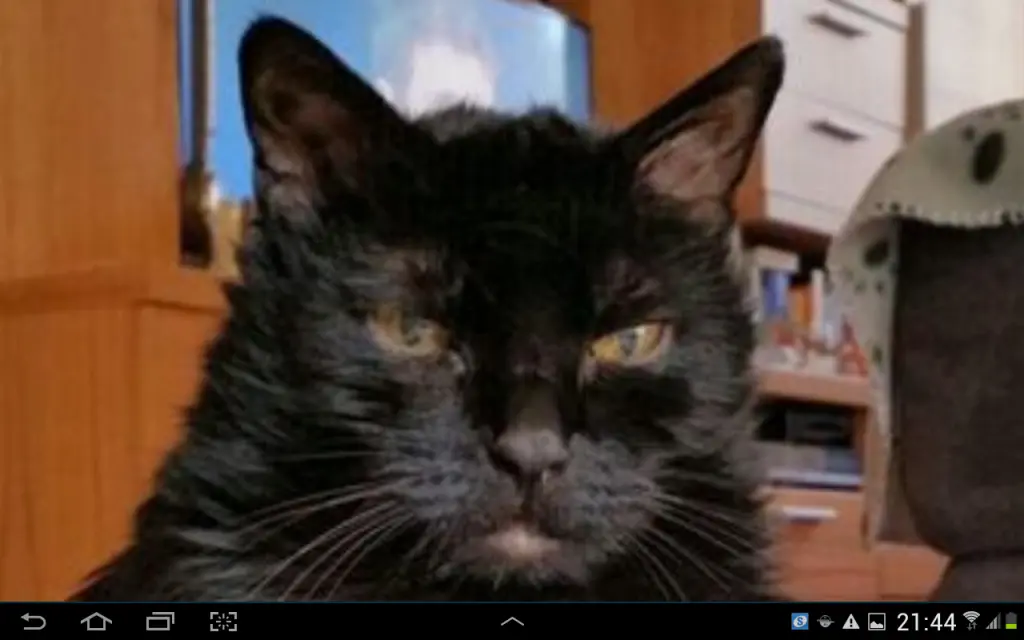 Condolence image of Ulrike und Dietmar