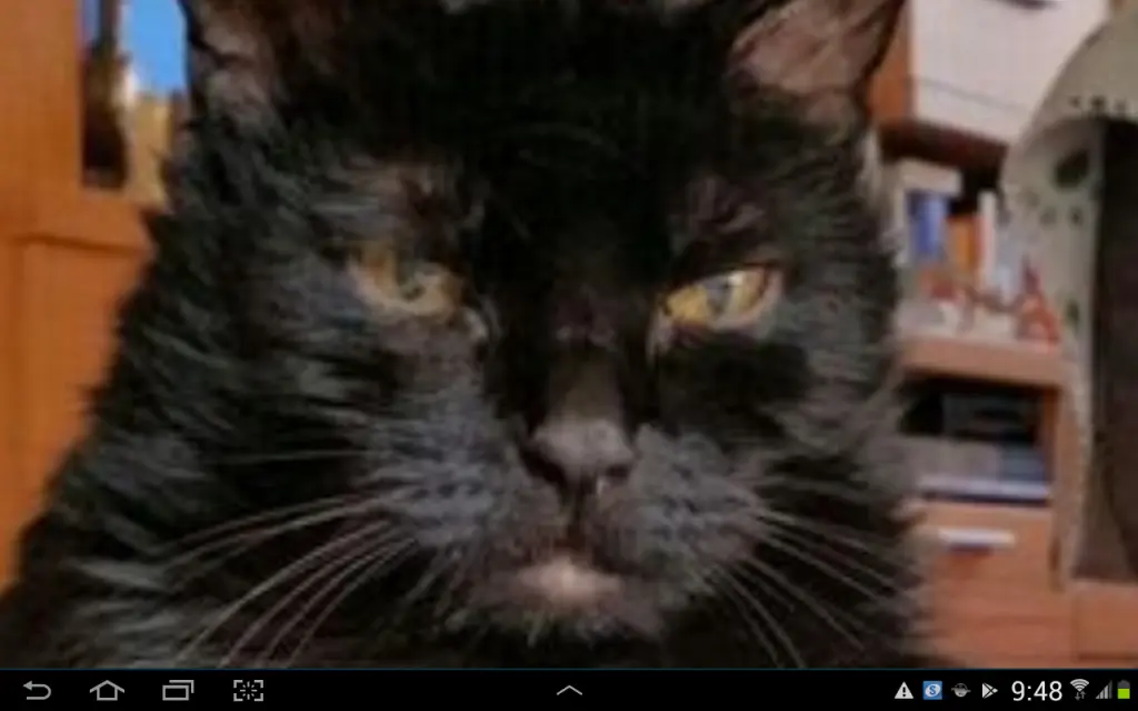 Condolence image of Ulrike und Dietmar