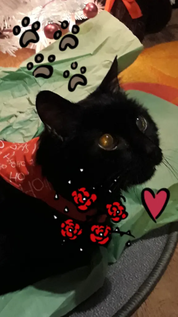 Condolence image of Unbekannt