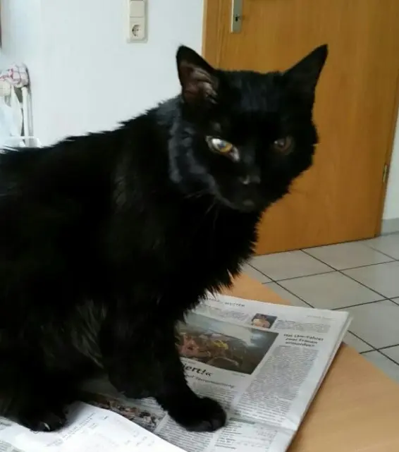 Condolence image of Ulrike und Dietmar