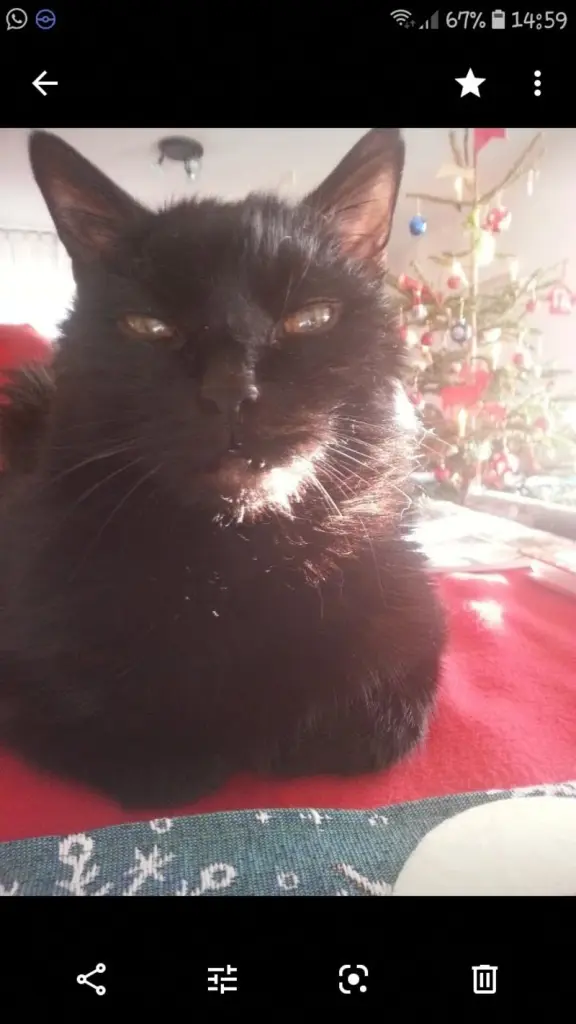 Condolence image of Uli und Dietmar mit Cassi und Luffi