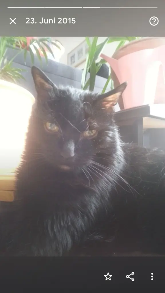 Condolence image of Uli und Dietmar, mit Cassi und Luffi 