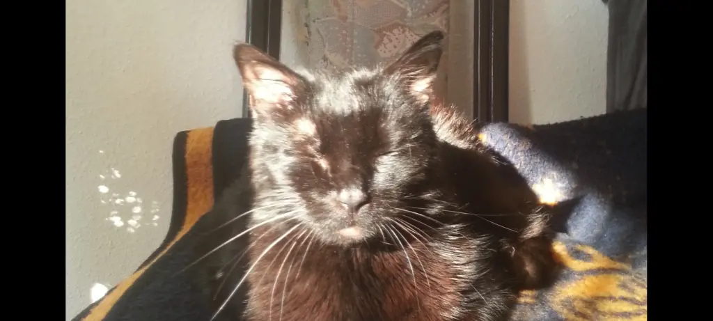 Condolence image of Unbekannt