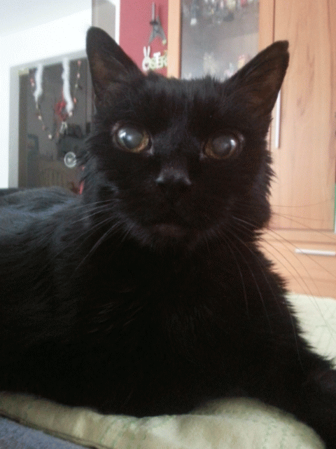 Condolence image of Unbekannt