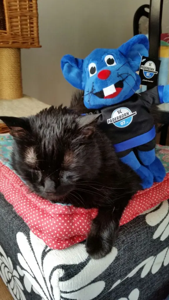 Condolence image of Uli, Didi, Cassy, Luffi und Dottymaus