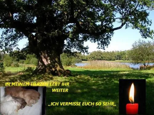 Image from Goldengelchen Sina