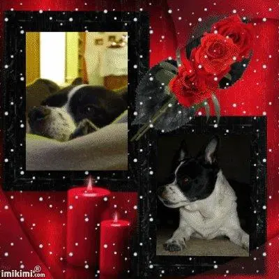 Image from Lucky