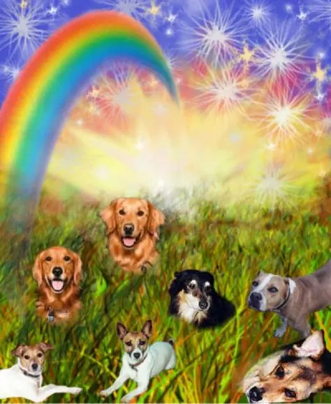 Condolence image of Gisela